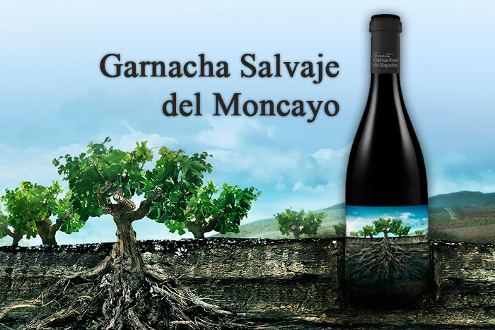 garnacha-salvaje.jpg