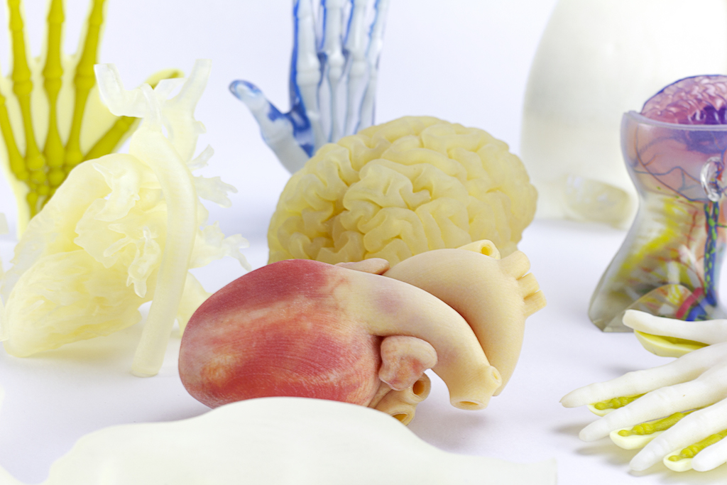 AIJU presenta un servicio de impresión 3D para replicar órganos