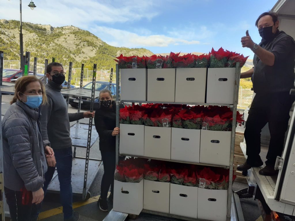 Fundación Novaterra recauda 30.000€ con las flores de Pascua