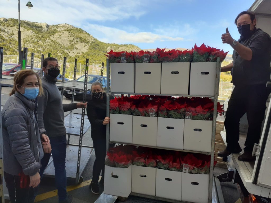 Fundació Novaterra recapta 30.000€ amb les flors de Pasqua