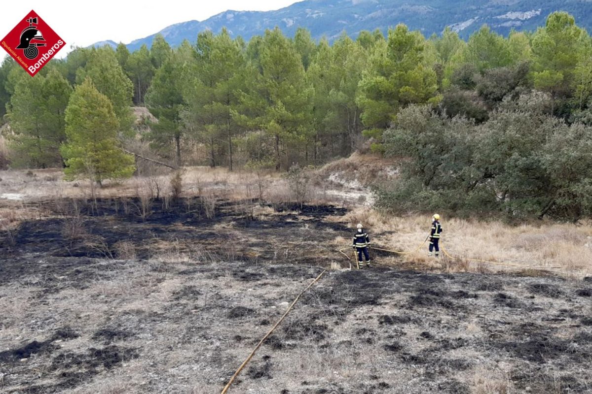 Extinguido el incendio descontrolado de cultivos en Alfafara