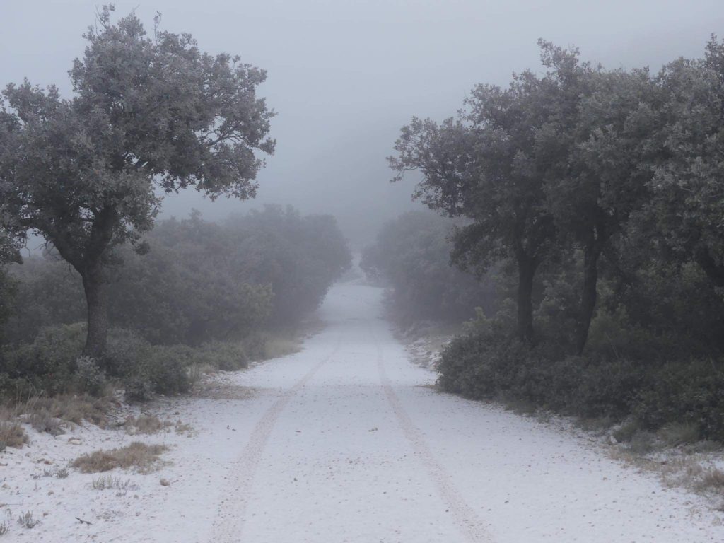 Primera nevada de l'any a la Font Roja