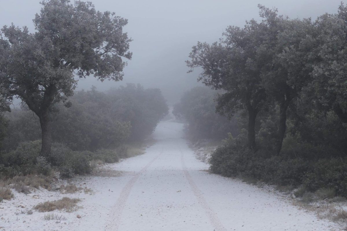 Primera nevada del año en la Font Roja