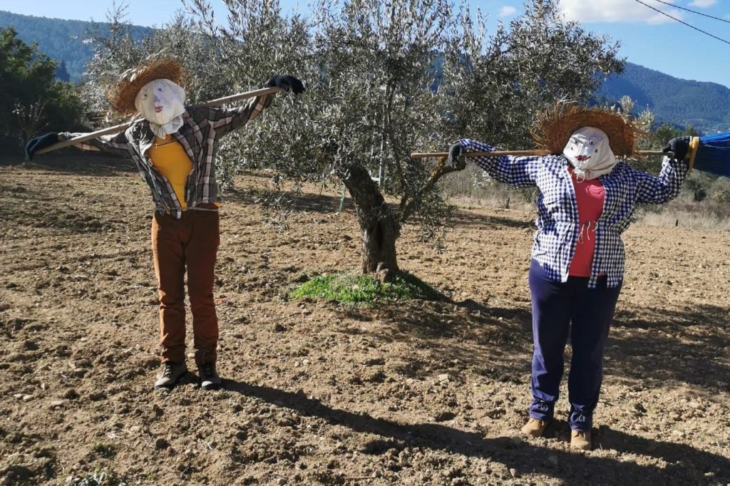 El Casal Jove de Banyeres organitza un concurs fotogràfic