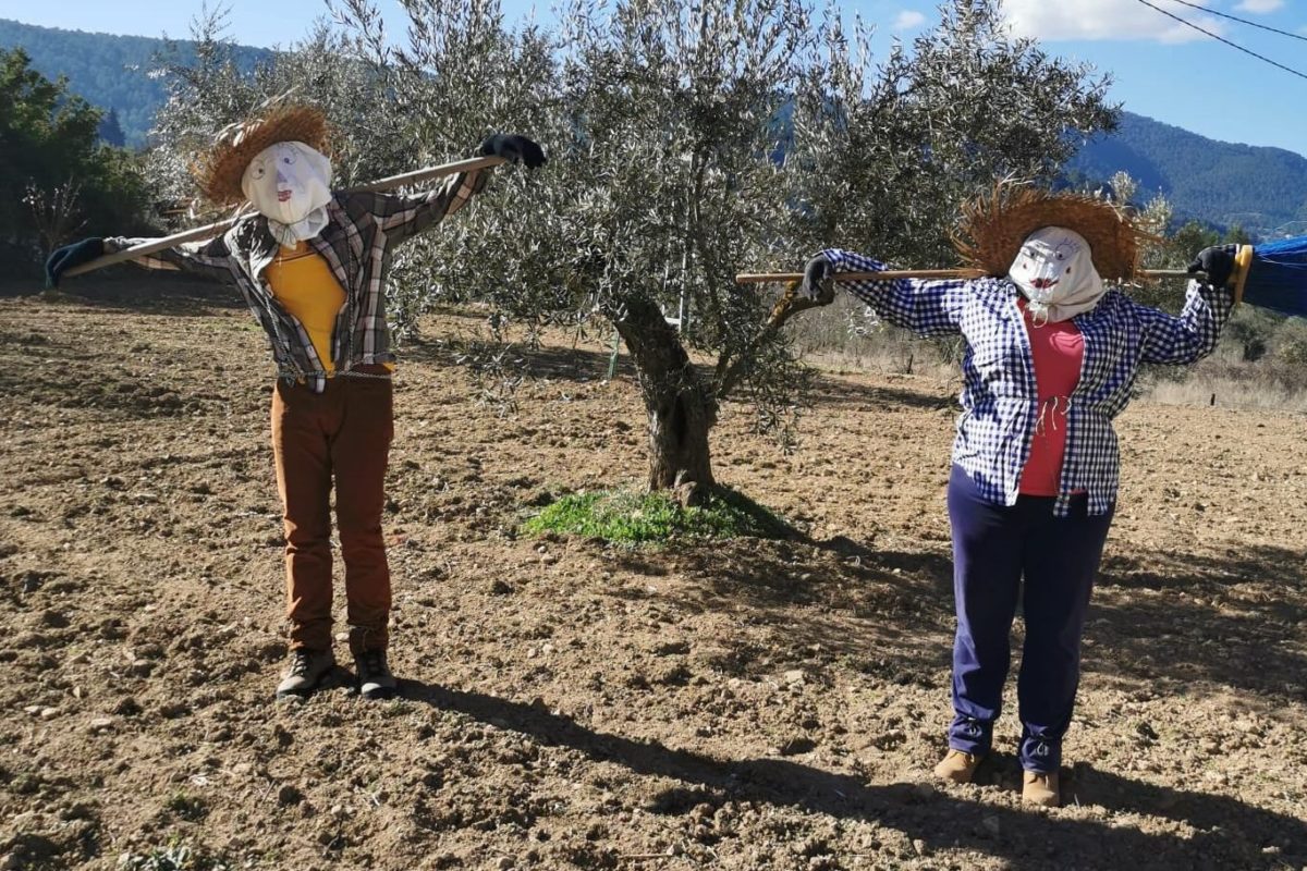 El Casal Jove de Banyeres organitza un concurs fotogràfic