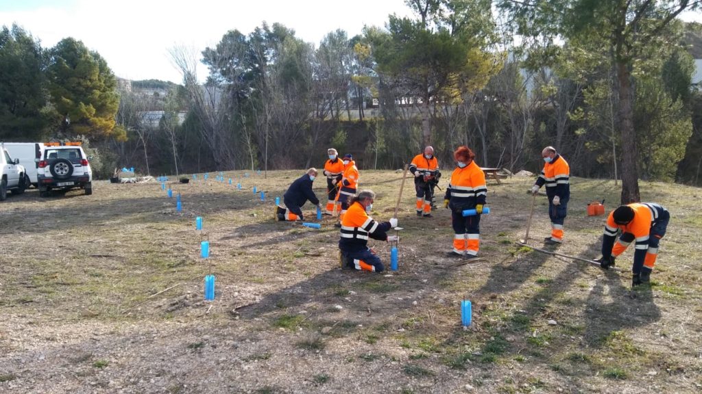 Finalitzen els treballs de la Brigada Forestal de Avalem