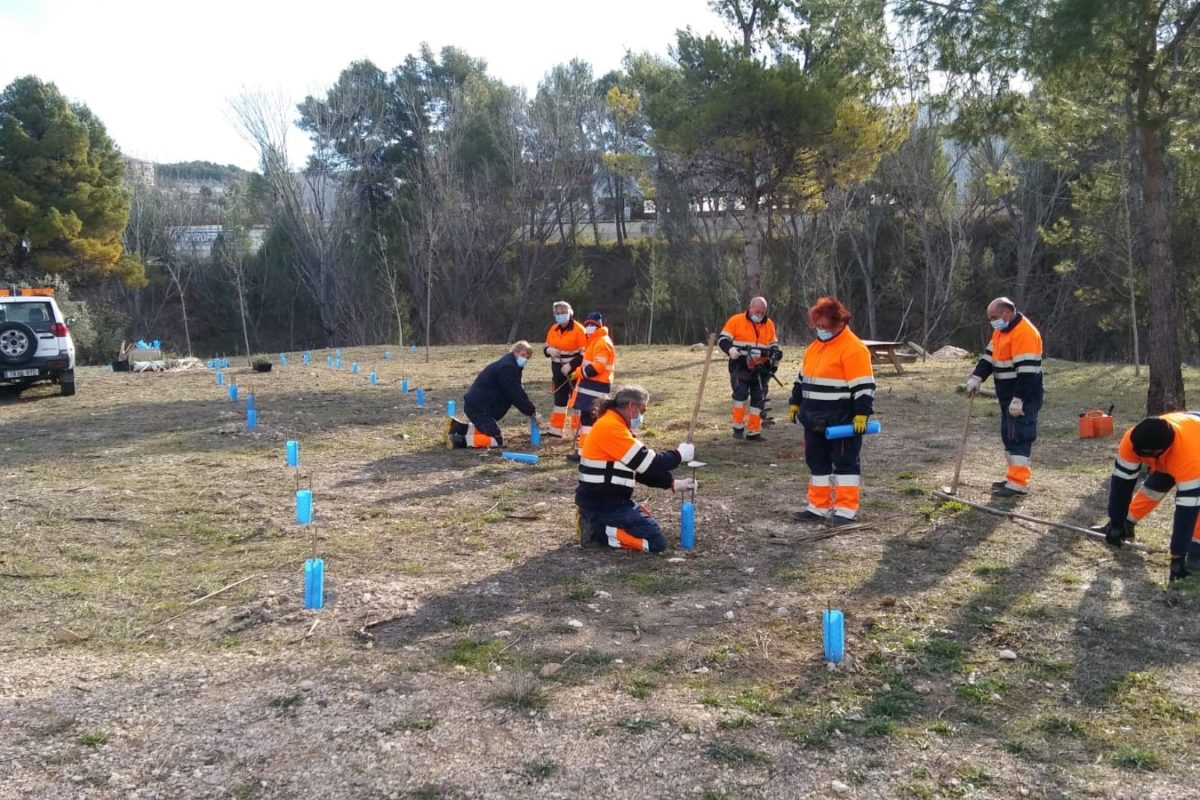 Finalizan los trabajos de la Brigada Forestal de Avalem