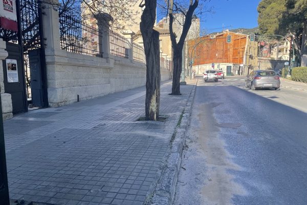 Una conductora resulta ferida després de xocar contra un arbre al costat de Cervantes