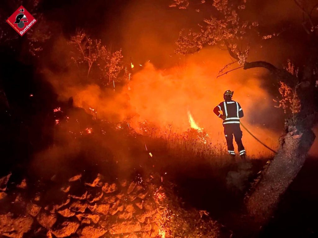 Incendi de cultius i ametlers a Balones