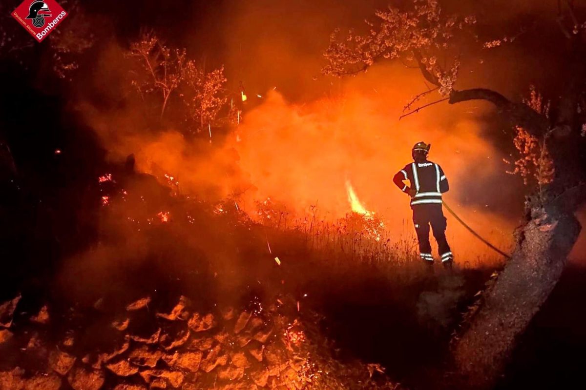 Incendi de cultius i ametlers a Balones