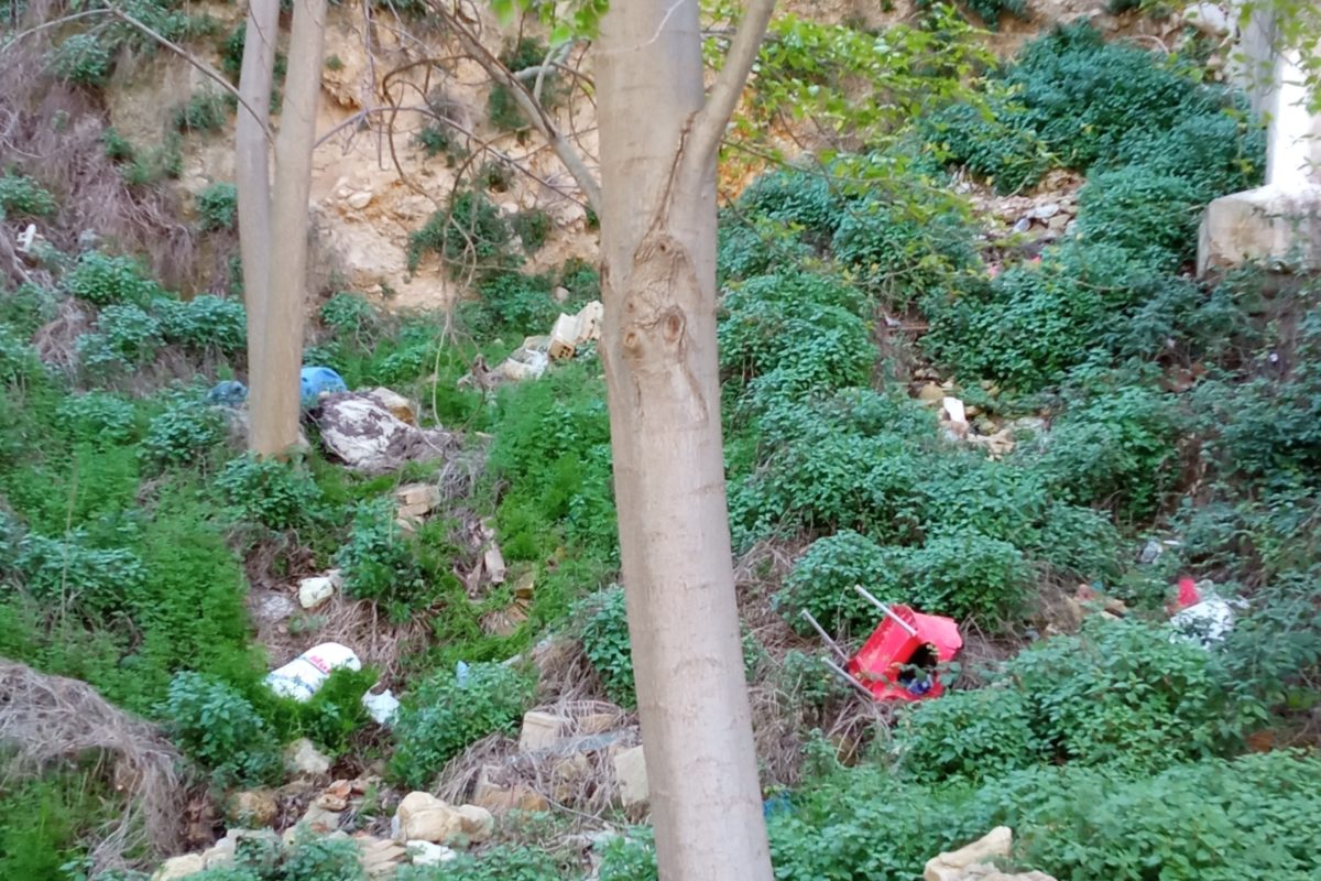 Denuncien un abocador sota del pont Sant Jordi