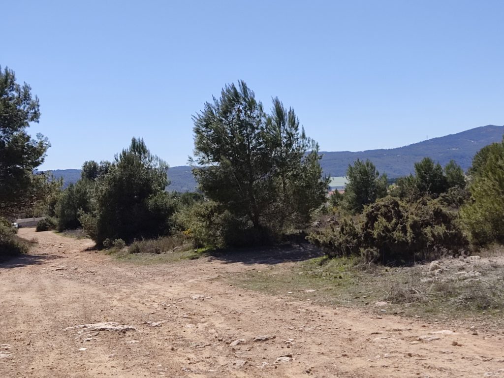 Reinicien la tramitació urbanística de la Mallaeta en Banyeres