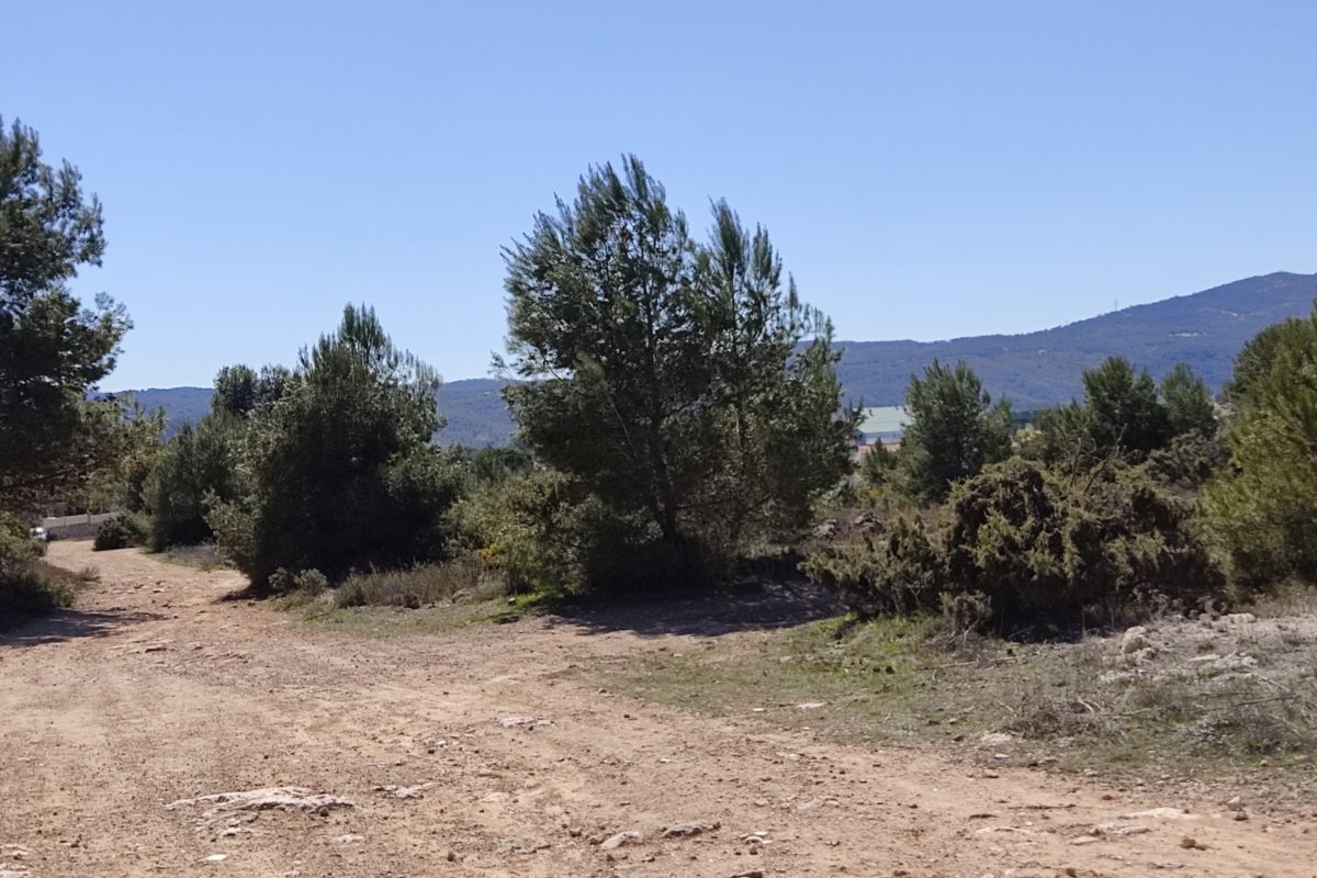 Reinicien la tramitació urbanística de la Mallaeta en Banyeres