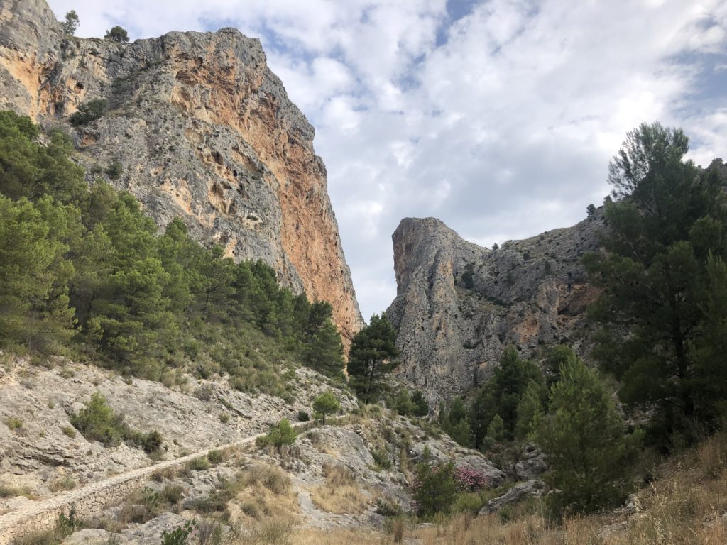 Comencen les eixides ambientals del programa ‘Escola Respira’