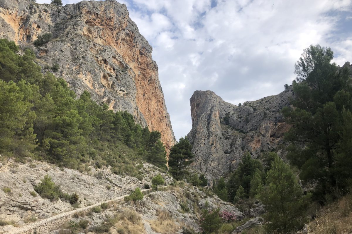 Comencen les eixides ambientals del programa ‘Escola Respira’