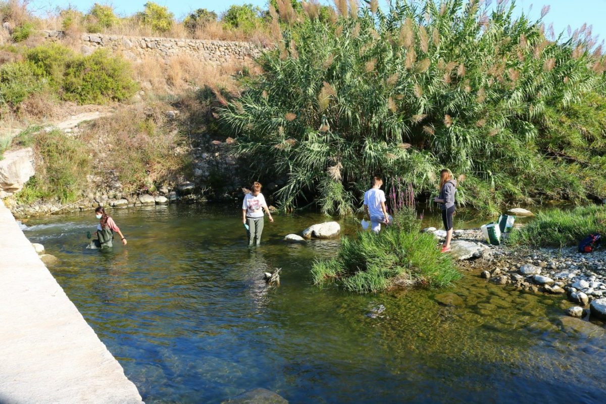 Projectat una sendera ecològica al Serpis