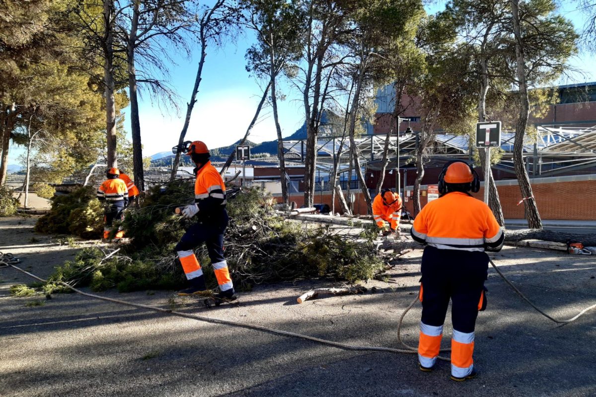 Alcoy obtiene 1'5 millones de euros para contratar a 86 personas