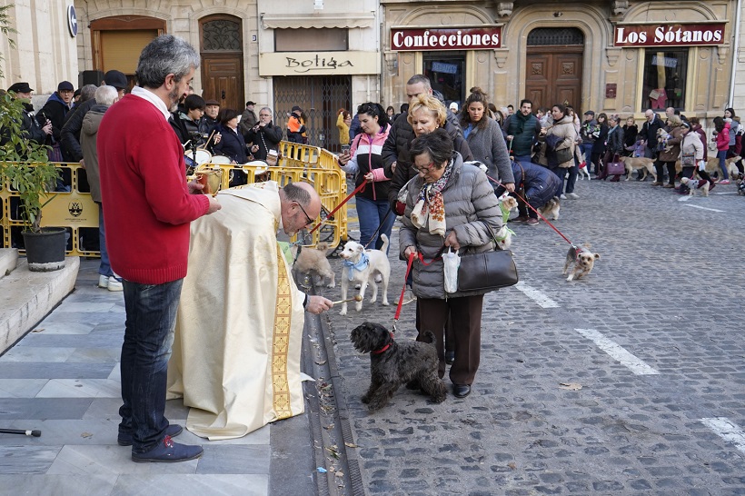 La bendición de animales por Sant Antoni será esta tarde en el parque de La Glorieta