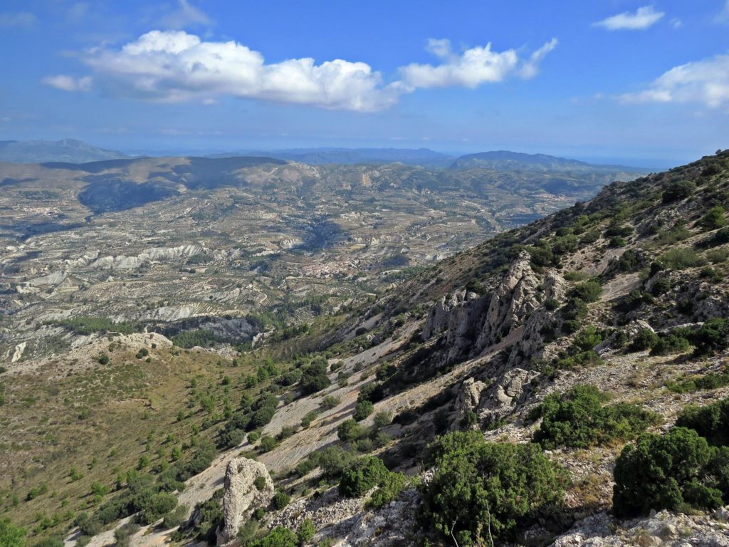 Una xarxa de camins unirà