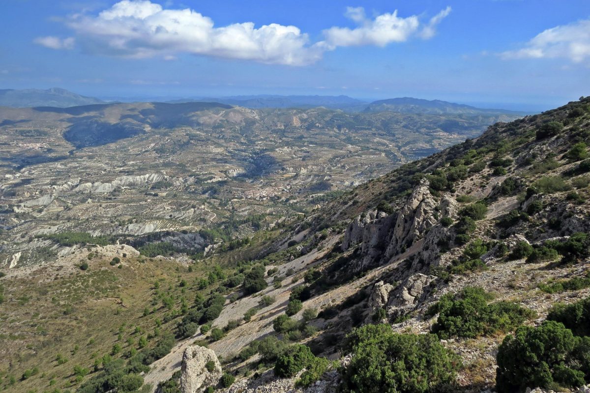 Una xarxa de camins unirà