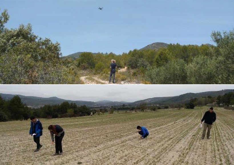 Estudien els orígens del paisatge rural d'Ibi