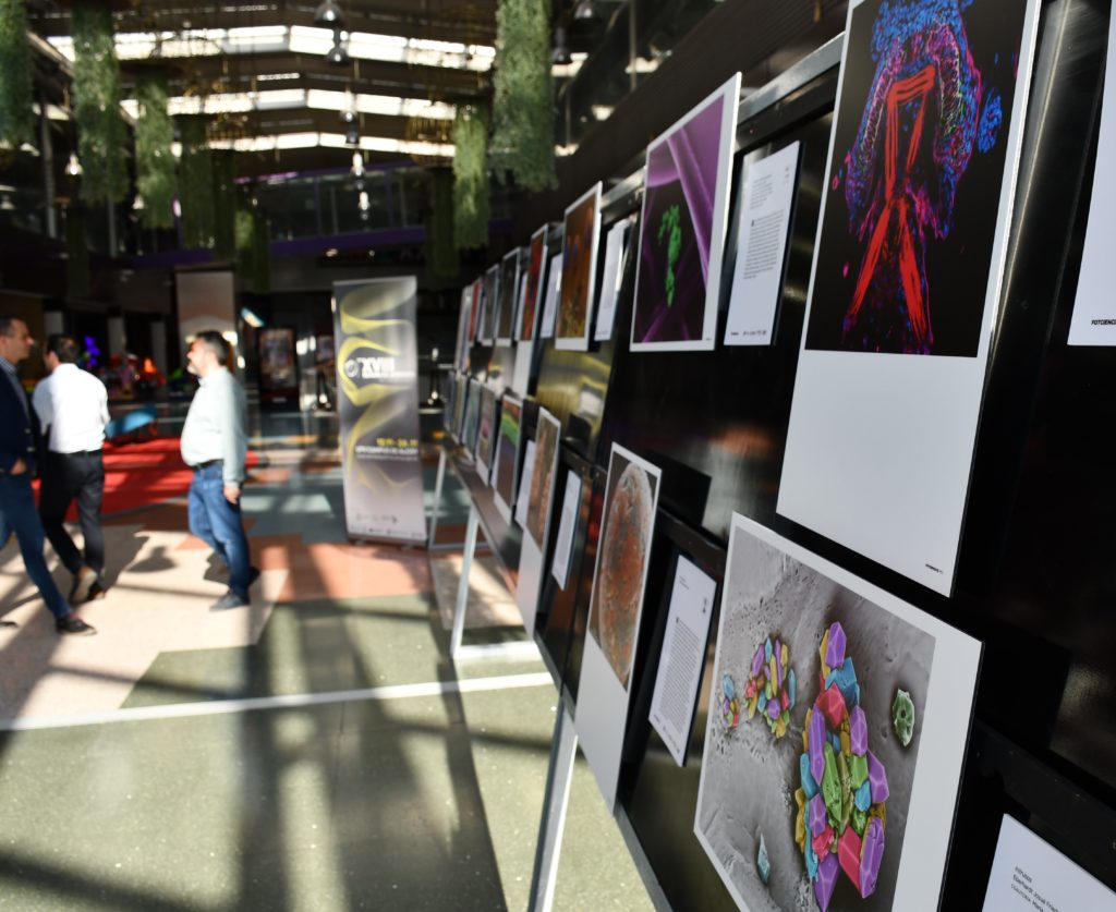 Inaugurada l’exposició Fotciencia