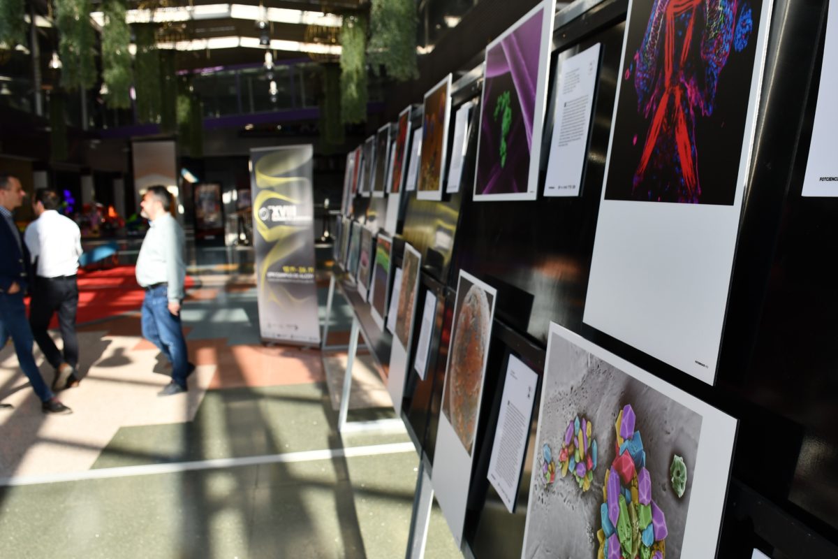 Inaugurada l’exposició Fotciencia