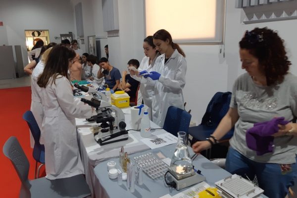 La Fira d’Habilitats de FP será en febrero