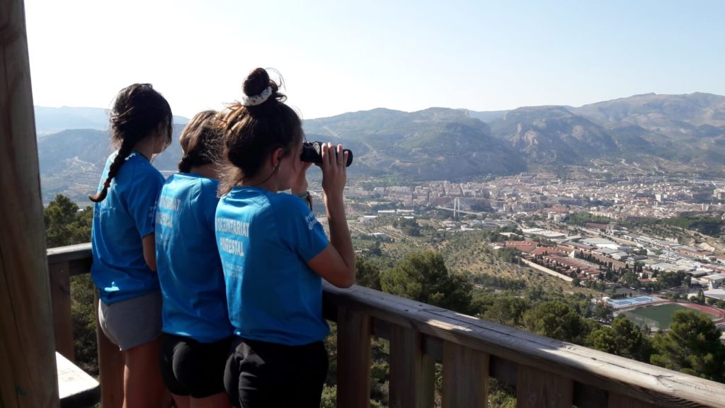 Voluntariat per a la prevenció d'incendis