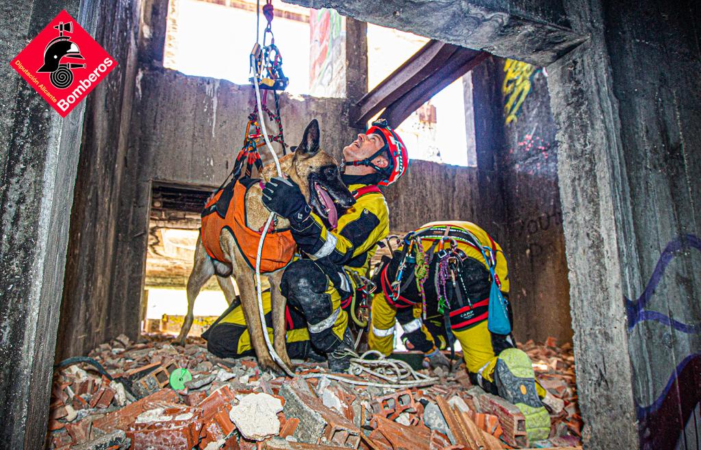 Los bomberos de la Diputación