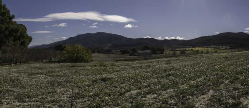 La Generalitat inadmite la planta fotovoltaica de Polop Alt