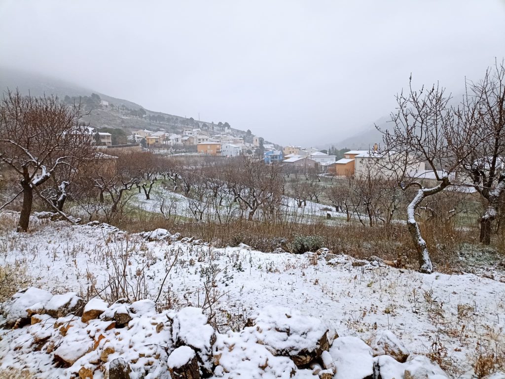 La neu fa la seua aparició