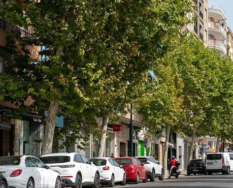 Hospitalizado un ciclista tras un accidente