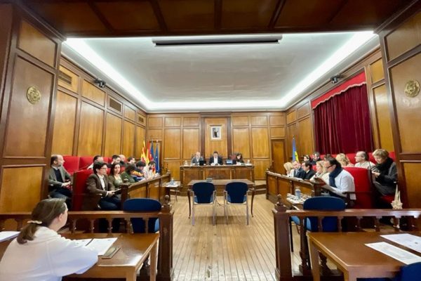PSOE i Podem tiren avant l'empresa pública amb Compromís però sense Guanyar