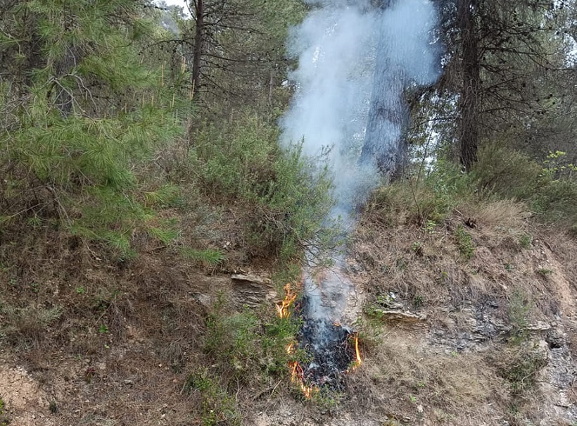 Un detenido por tentativa de incendio forestal