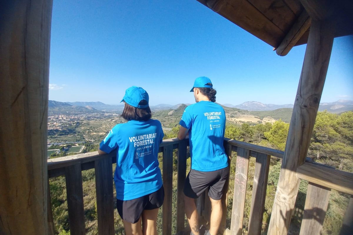 Alcoy destina 160.000 euros a la lucha