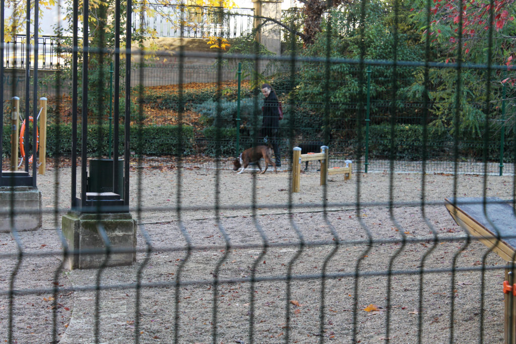 Des de la regidoria de Salut Pública han donat a conéixer aquesta setmana les dades relatives als expedients sancionadors per infraccions de la normativa d'animals de companyia durant els primers huit mesos de l'any. Aquestes sancions es refereixen principalment a incompliments de la normativa d'animals potencialment perillosos i també a molèsties veïnals. Dels 21 expedients sancionadors iniciats durant aquests mesos, ja s'han resolt 15, per una quantia total que ascendeix als 13.823 euros. Concretament, s'han resolt 9 sancions referents a animals potencialment perillosos, per infraccions com portar-los solts, sense morrió o sense llicència administrativa per a la seua tinença. Les altres 6 sancions tenen relació amb molèsties veïnals, portar-los solts o no estar identificats amb microxip. El regidor de Salut Pública, Carles *Sansalvador, ha destacat la necessitat de complir la normativa relativa als animals de companyia, tant per a millorar el benestar dels animals com per a ajudar a la convivència veïnal a la nostra ciutat.