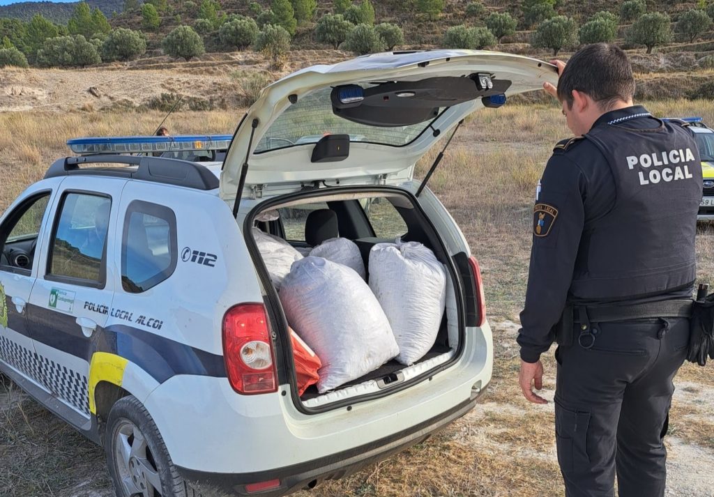 La Policia sorprén tres persones robant olives