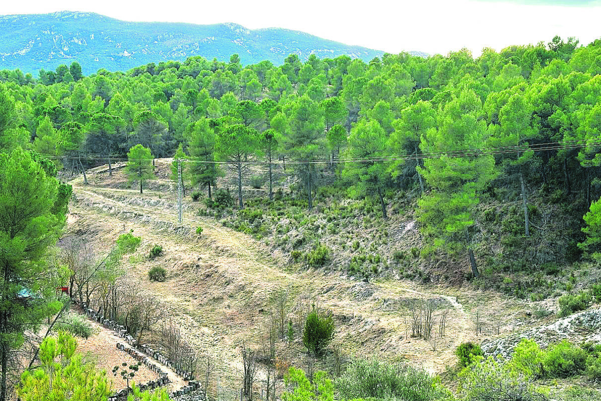 Acabat el tallafocs d'El Sargento’