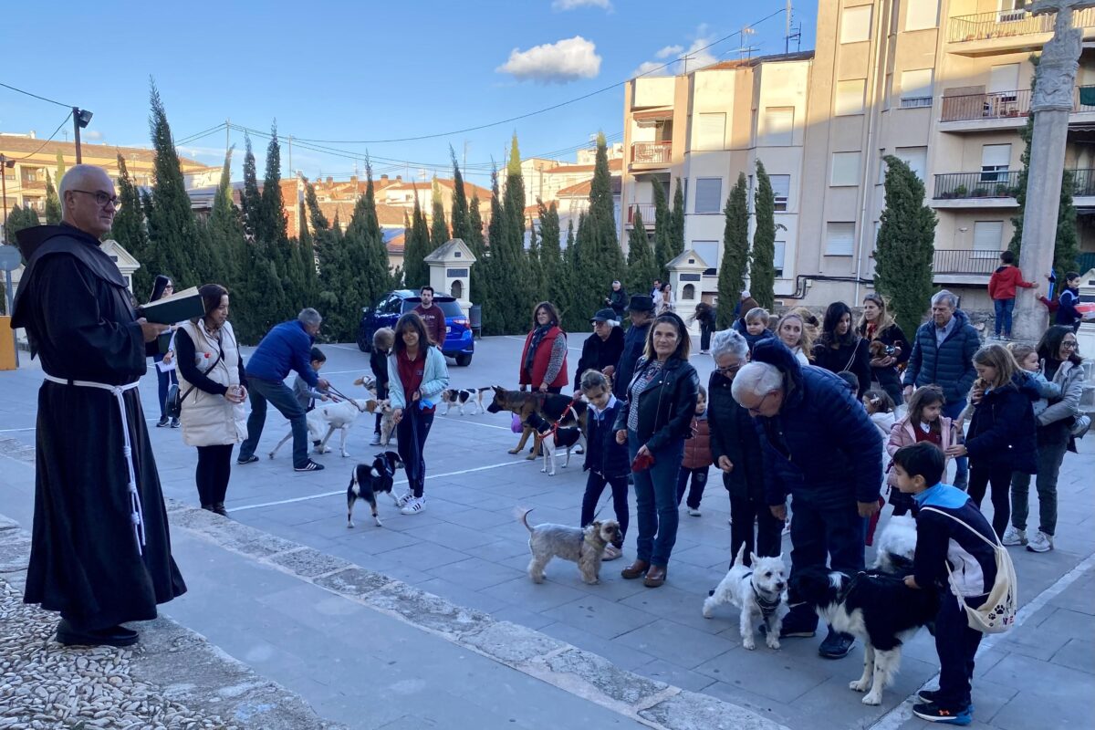 Cocentaina también sacó a la calle a sus mascotas