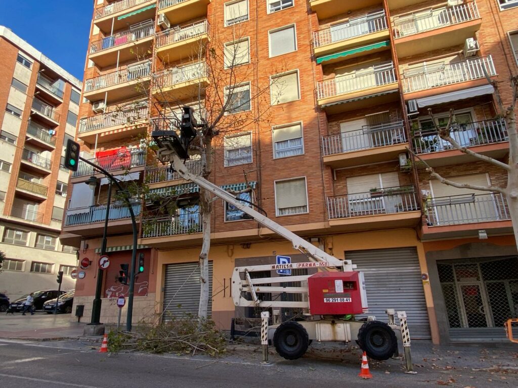 Más de 900 ejemplares podados en cuatro meses