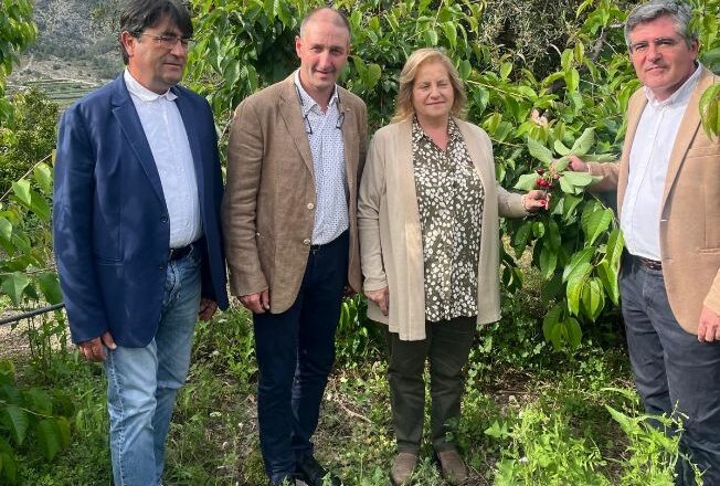 Carlos Pastor participa en el acto de Corte de la Cereza 2025