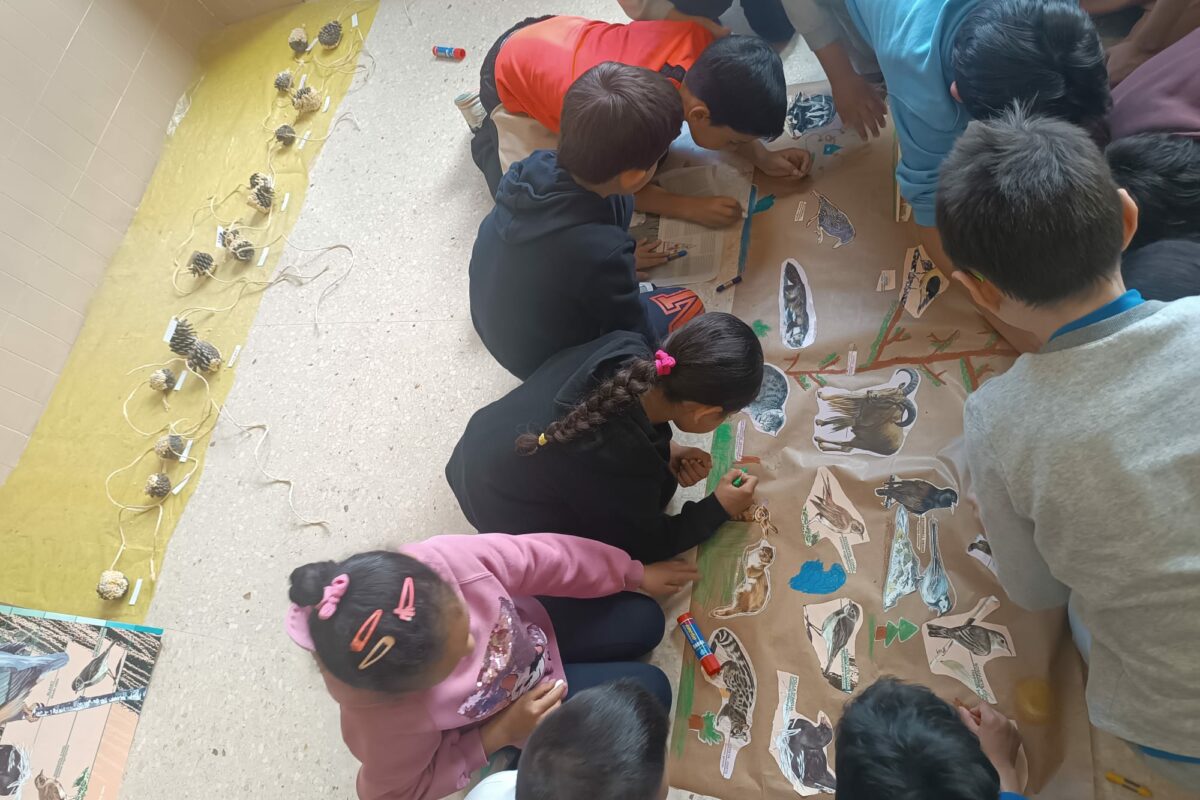 Impulso a la la educación ambiental con la participación 740 escolares