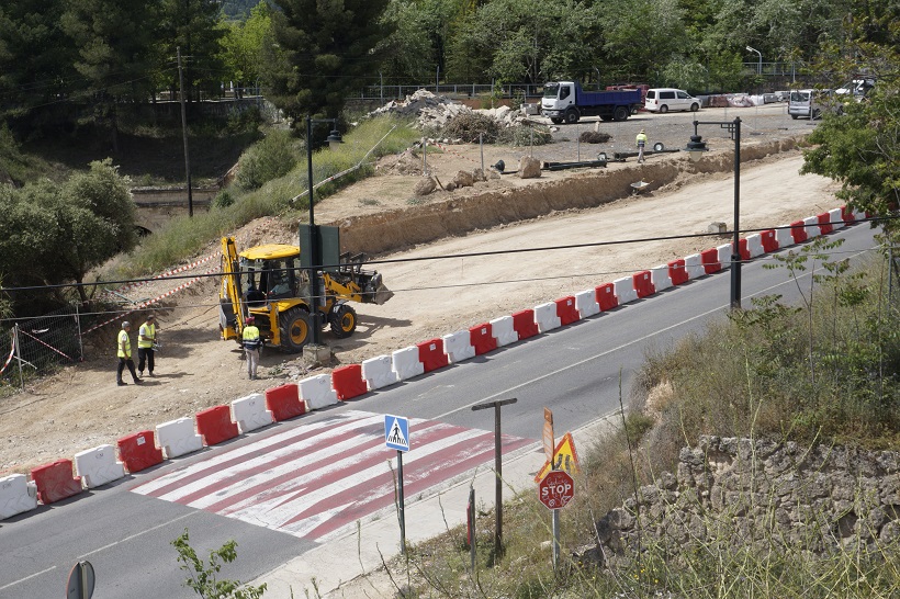 Criticas al gobierno debido a la tala de árboles por “criterios técnicos”