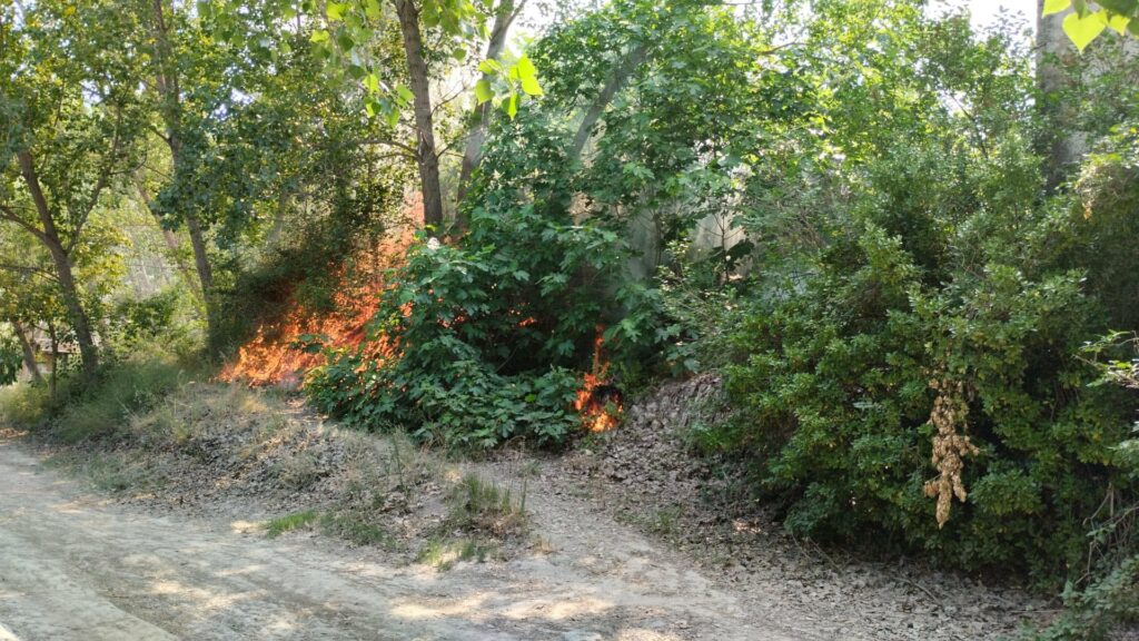 Declarat un incendi forestal en la zona del Racó