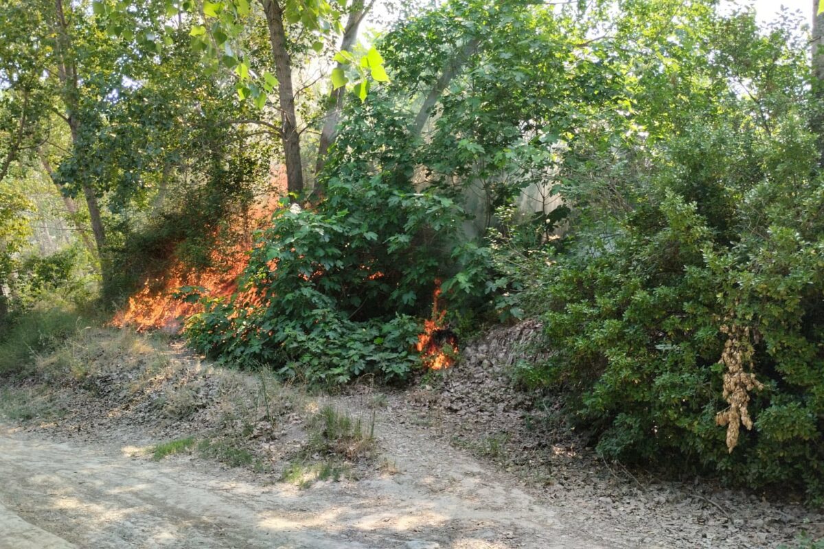 Declarat un incendi forestal en la zona del Racó