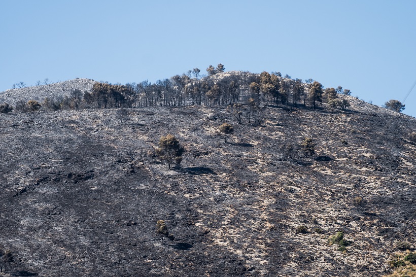 Comencen a retirar-se mitjans de la UME de l'incendi forestal d'Alcoi-Ibi