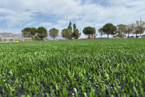 Finaliza la renovación del césped del Moreno Cabanes