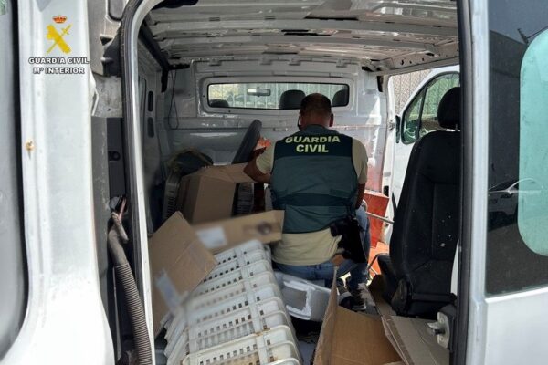 Detingut a Ibi per una estafa de furgonetes camper