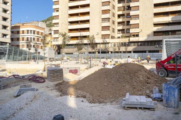 En marxa la plantació de més de 60 arbres en La Rosaleda